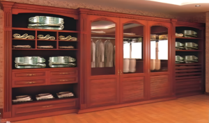 Z11#  Closet